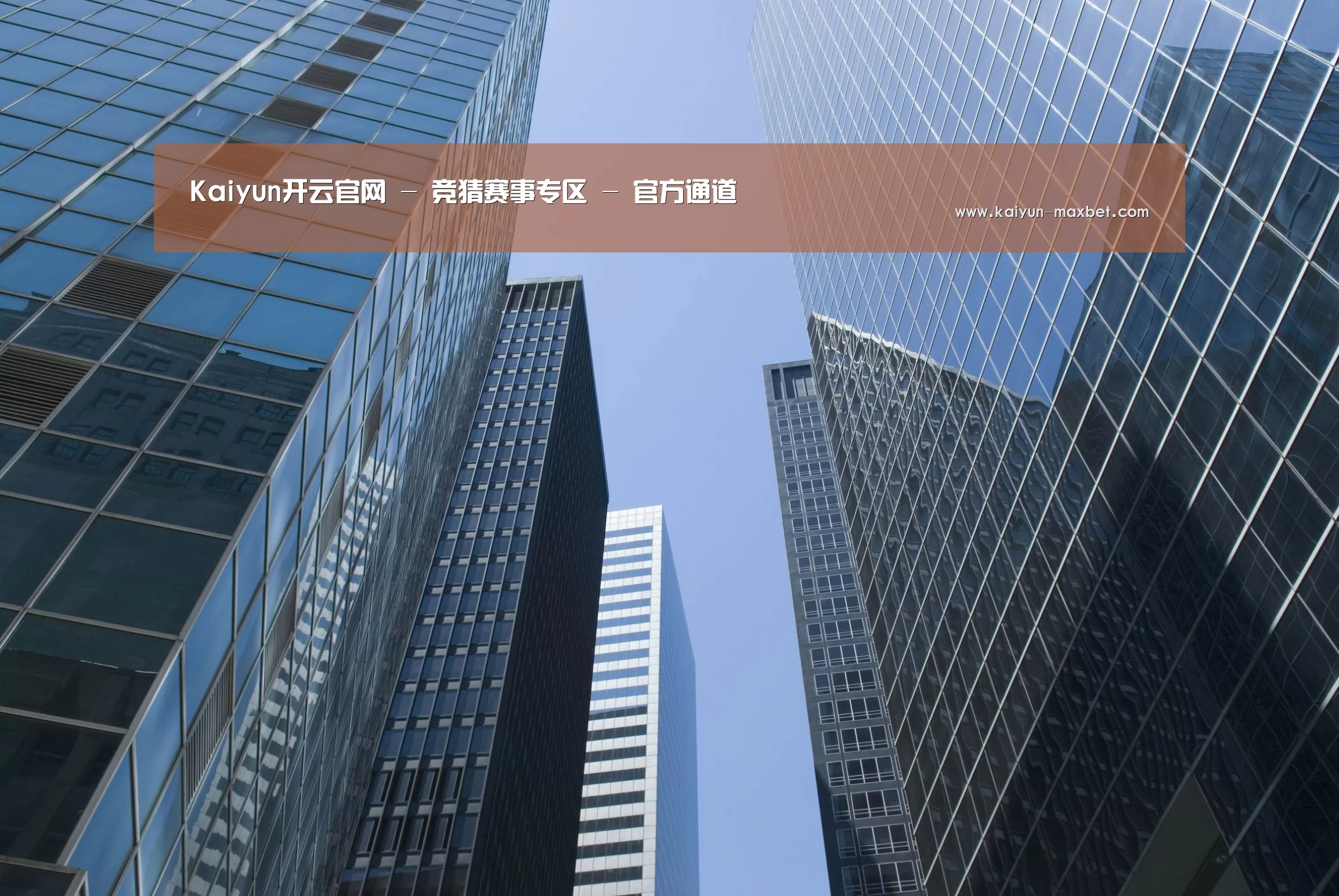 开云赛事公司简介 