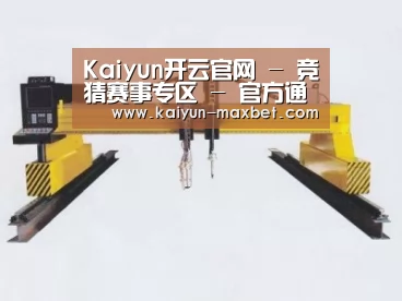 产品名称十七