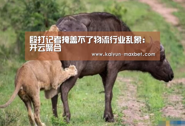殴打记者掩盖不了物流行业乱象:开云聚合(图3) 开云赛事