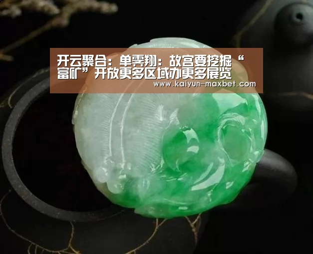 开云聚合:单霁翔:故宫要挖掘“富矿”开放更多区域办更多展览(图3) 开云赛事