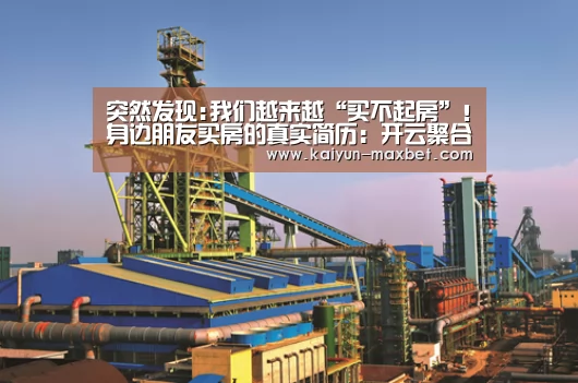 突然发现:我们越来越“买不起房”!身边朋友买房的真实简历:开云聚合(图4) 开云快讯